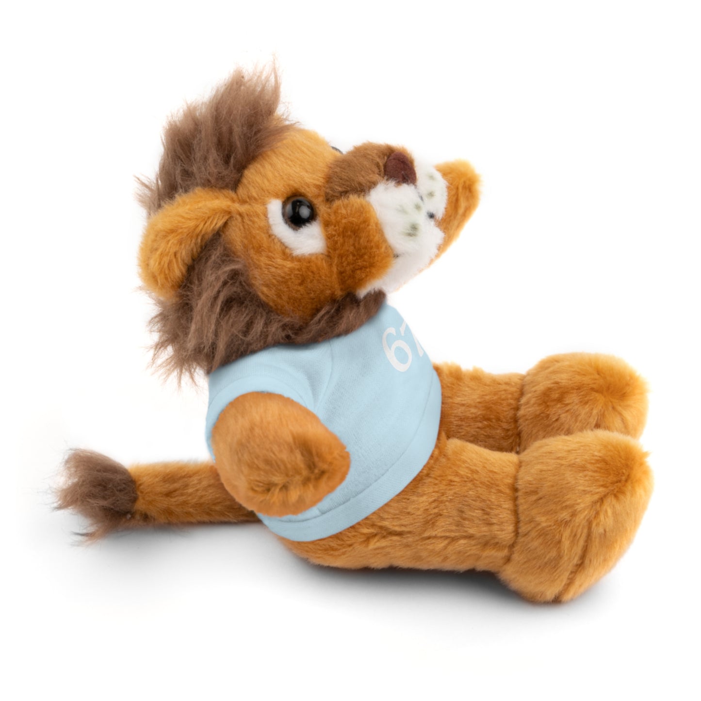67 Stuffed Animals with Tee