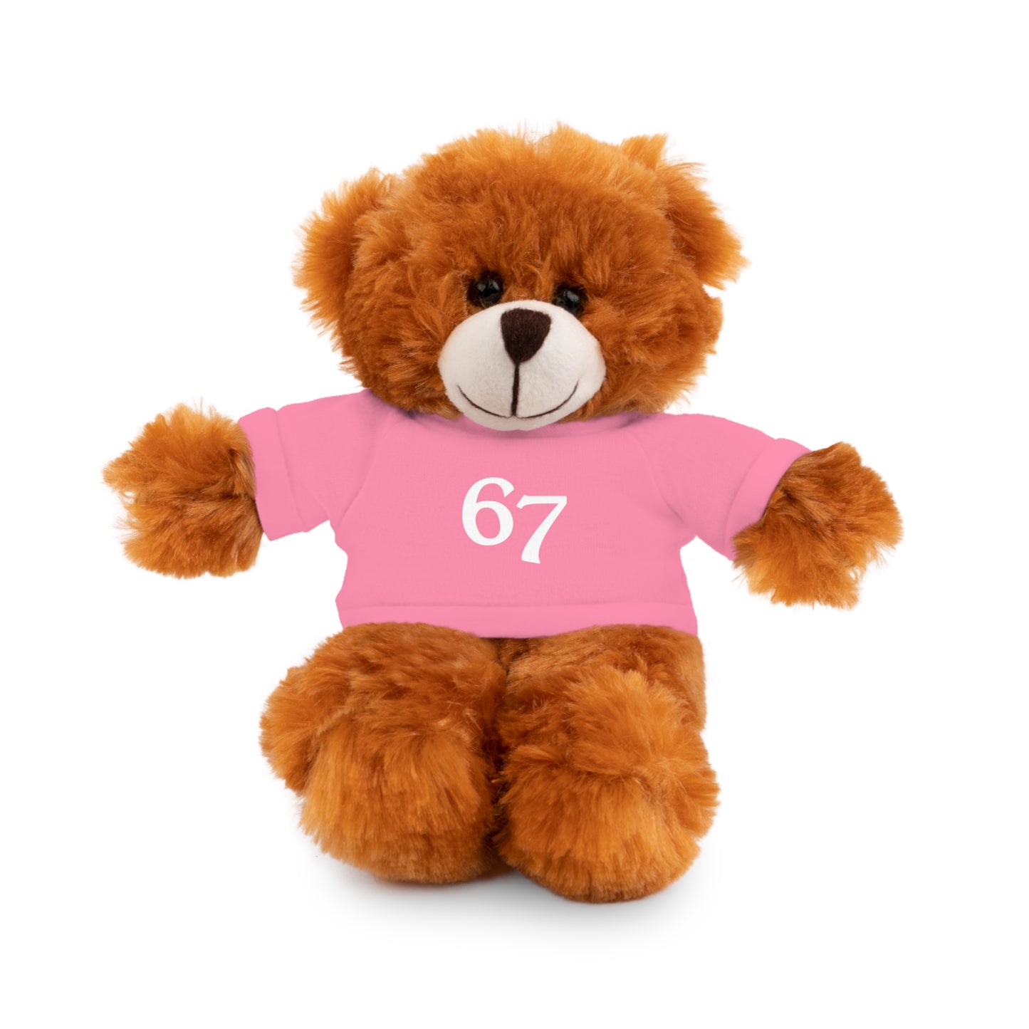 67 Stuffed Animals with Tee
