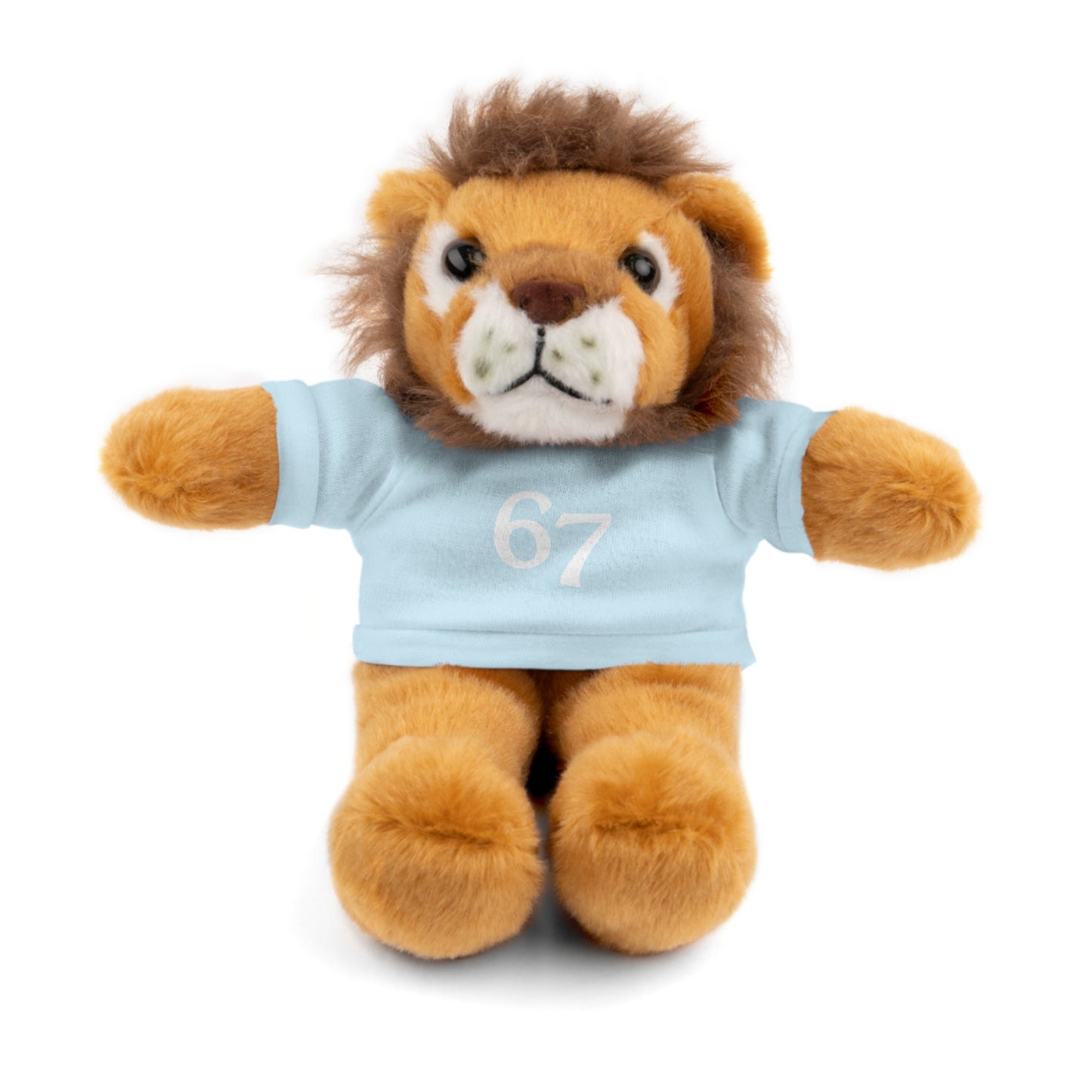 67 Stuffed Animals with Tee