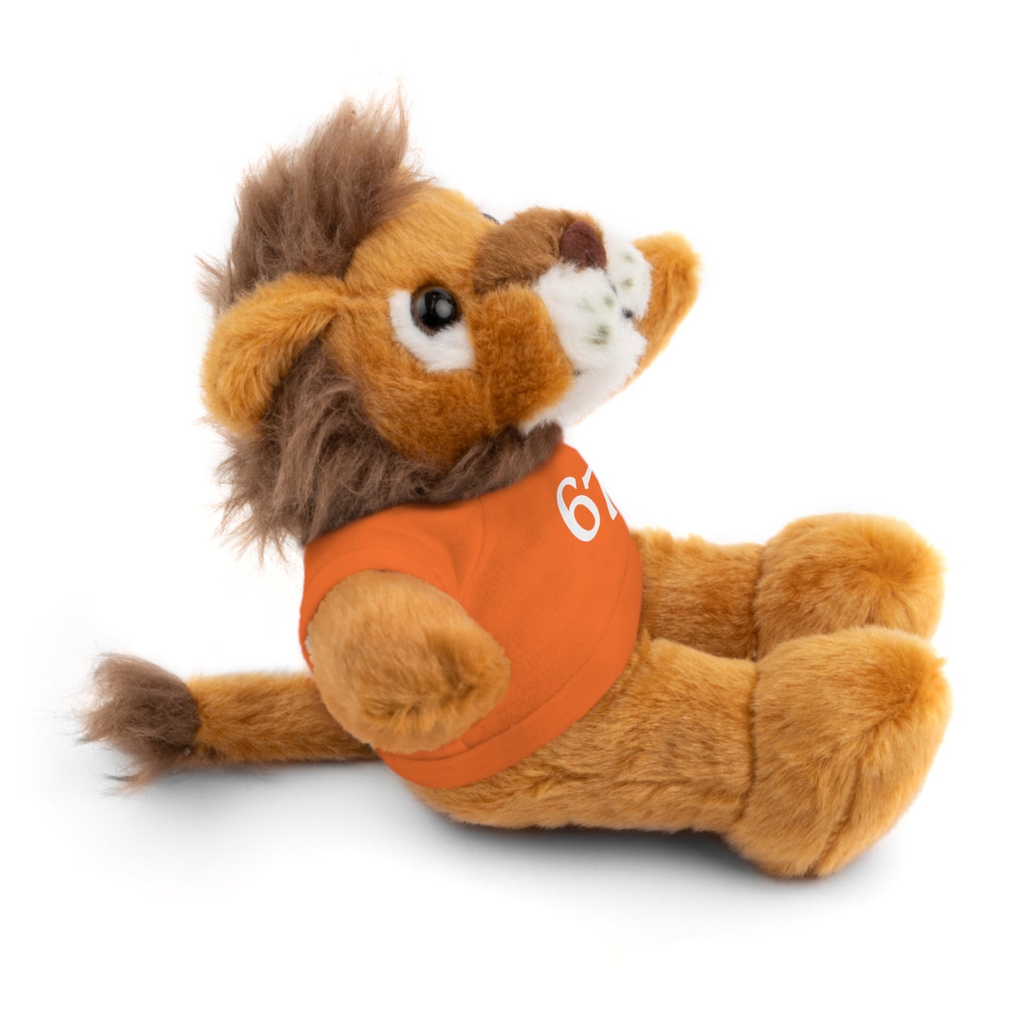 67 Stuffed Animals with Tee