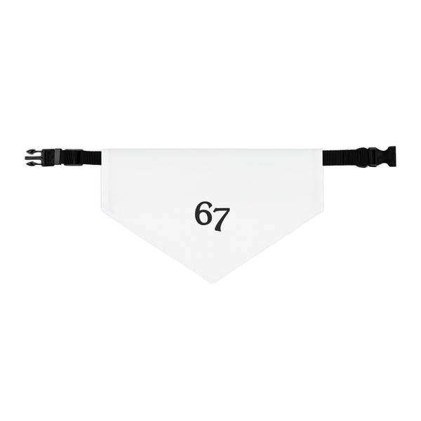 67 Pet Bandana Collar