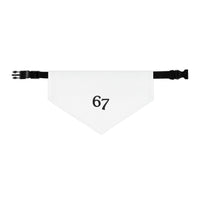 67 Pet Bandana Collar