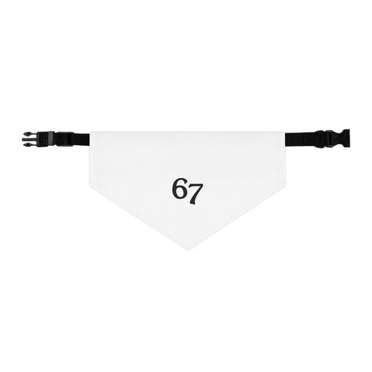 67 Pet Bandana Collar