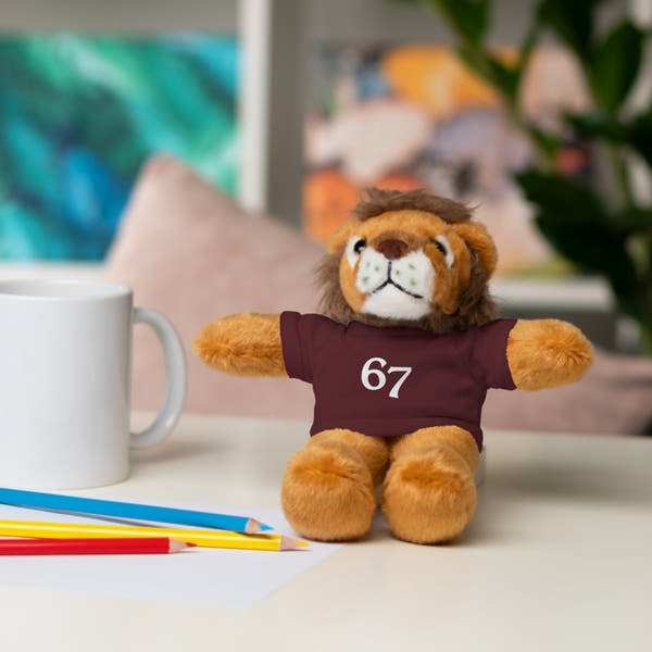 67 Stuffed Animals with Tee