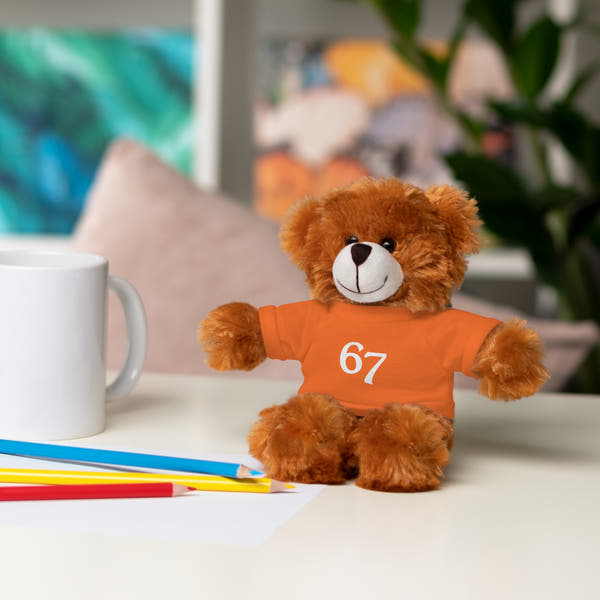 67 Stuffed Animals with Tee