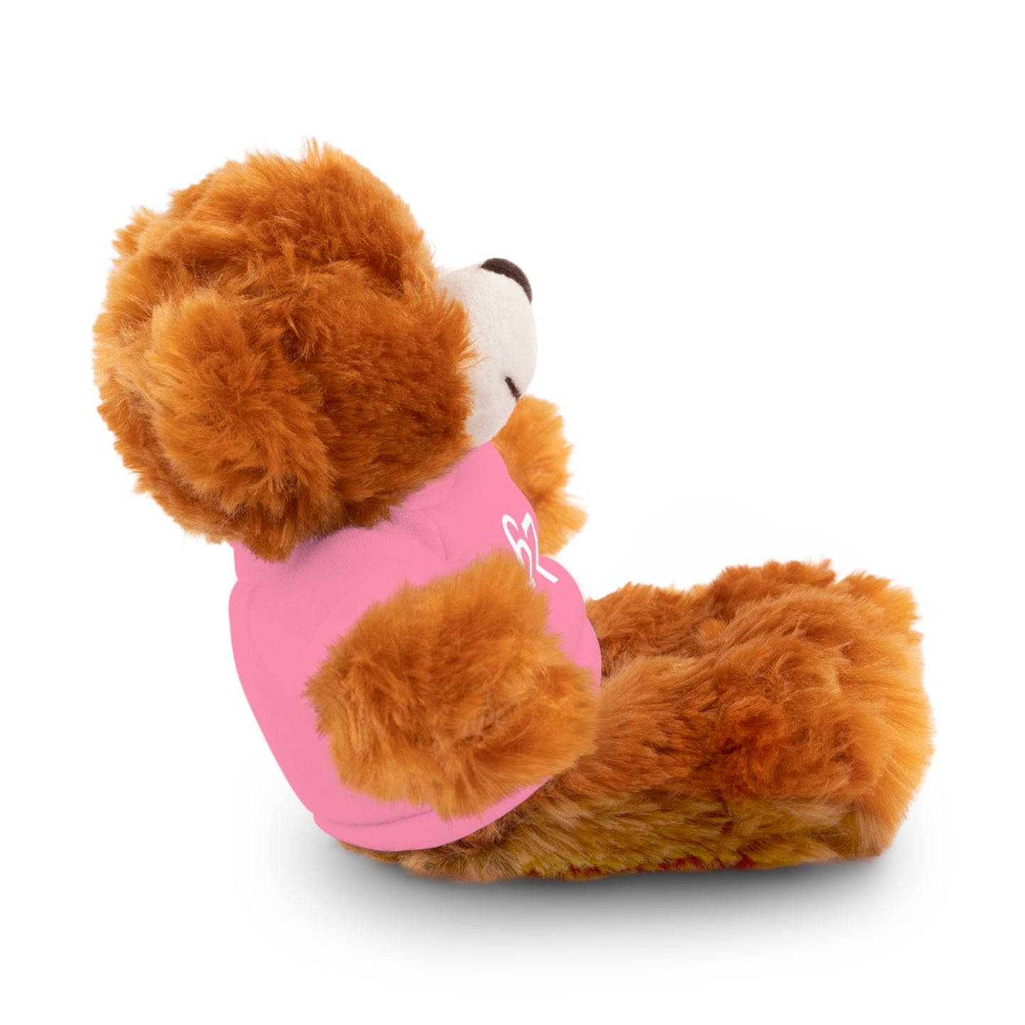 67 Stuffed Animals with Tee