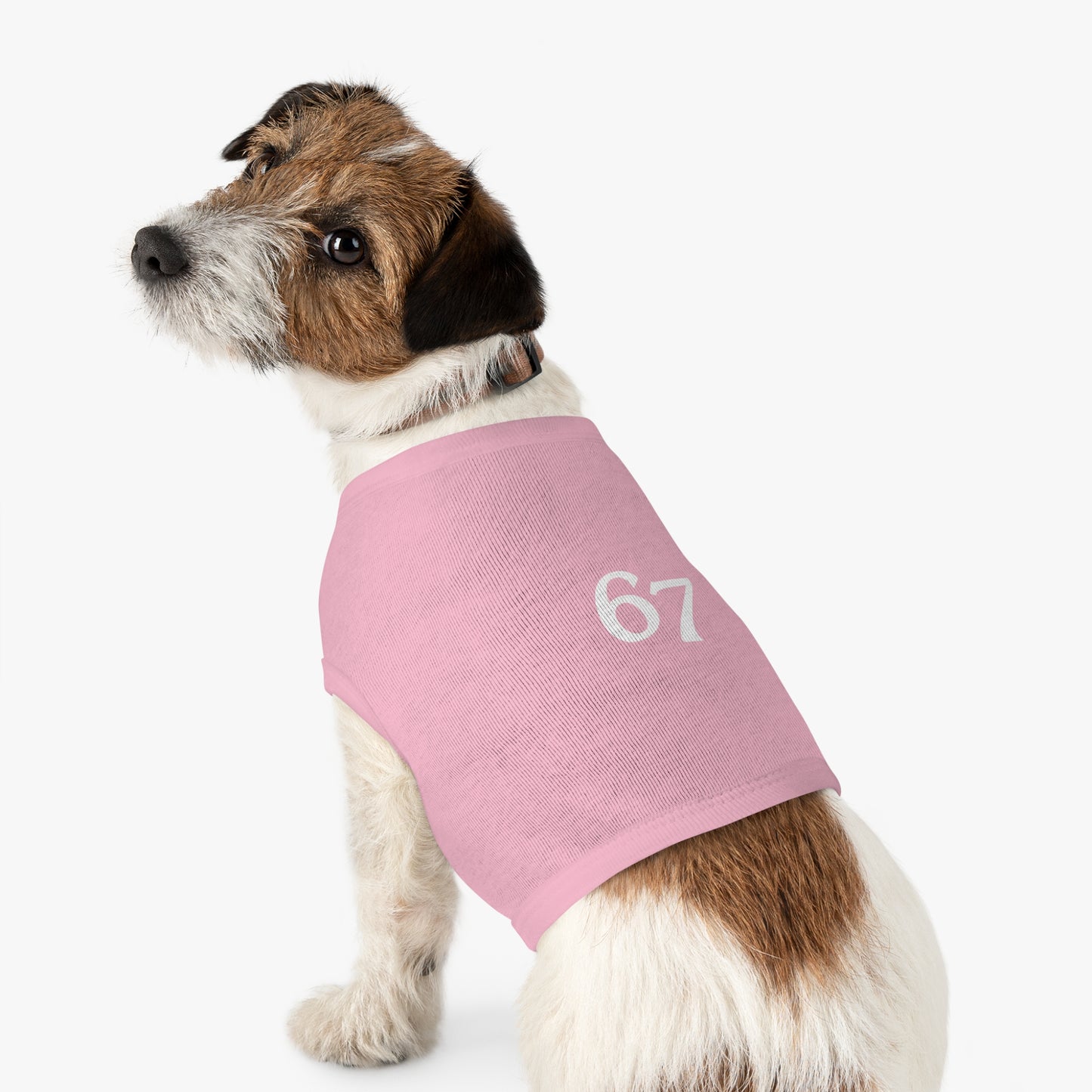 67 Pet Tank Top