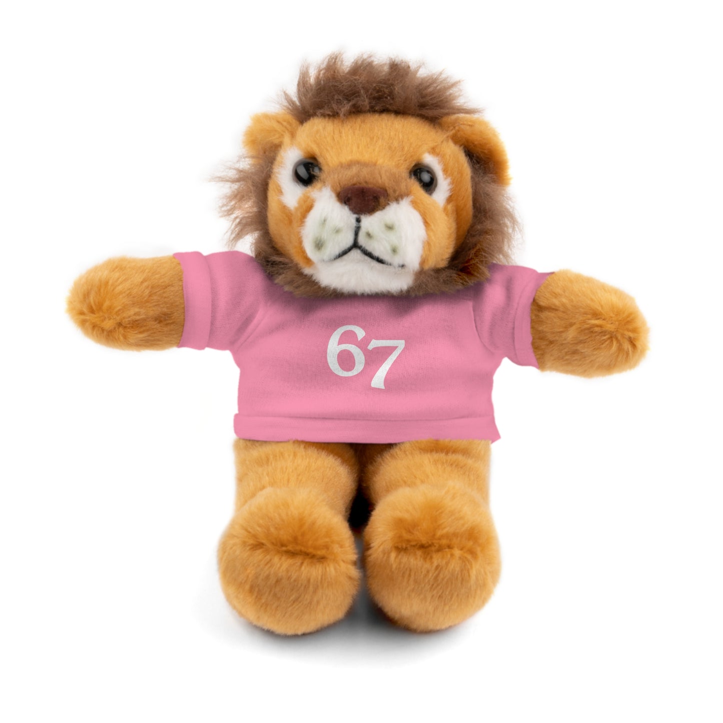 67 Stuffed Animals with Tee