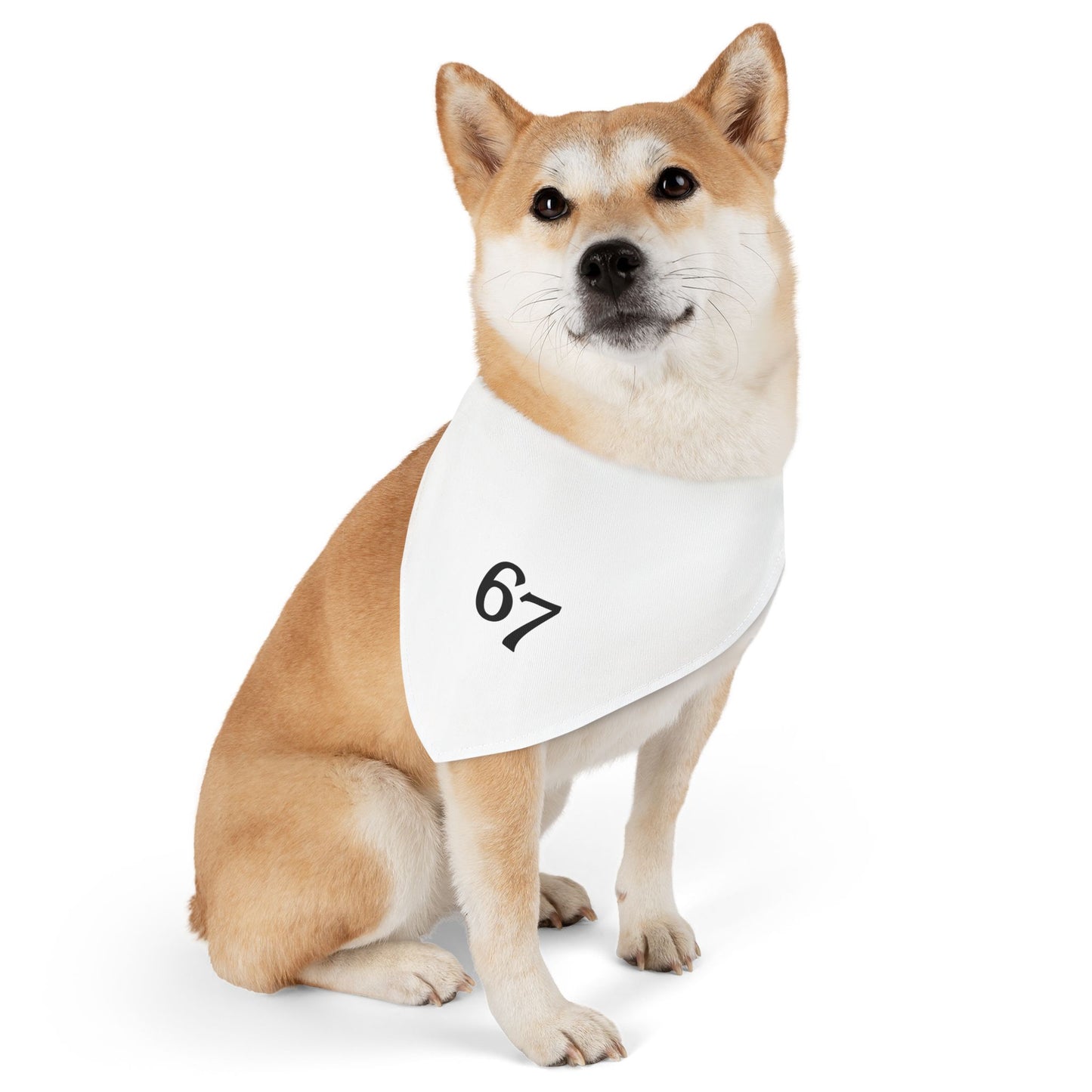 67 Pet Bandana Collar
