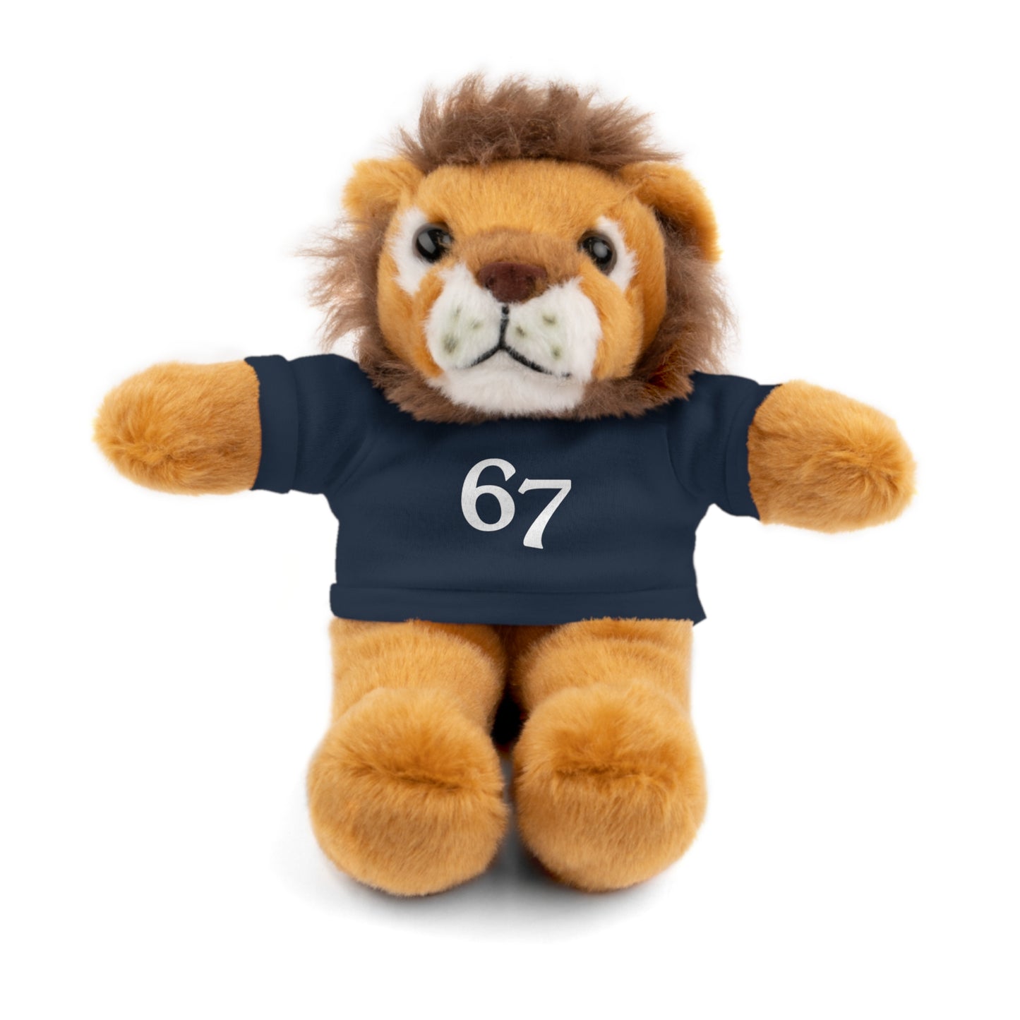 67 Stuffed Animals with Tee