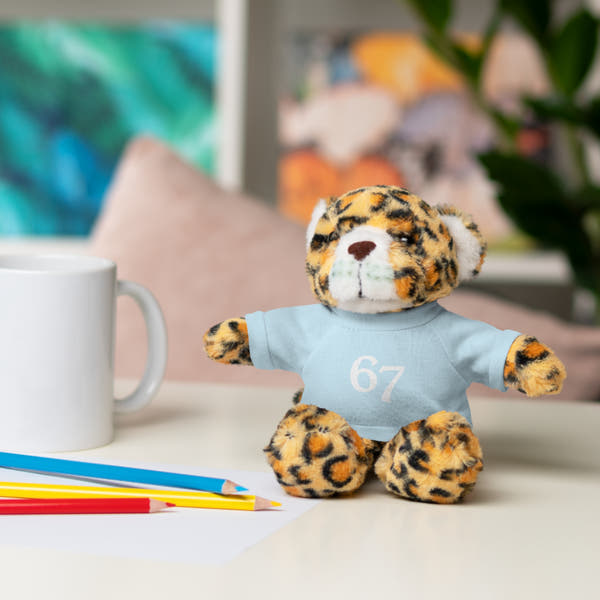 67 Stuffed Animals with Tee